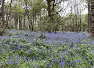 Groovy – Proactive Validation