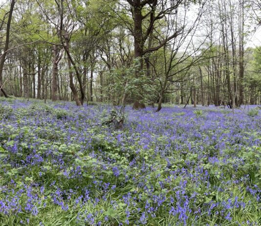 Groovy – Proactive Validation